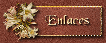 Mi Otro Enlace