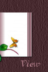 Viste
