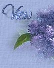 Ver