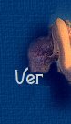 Ver mi libro
