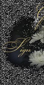 Firmar el libro